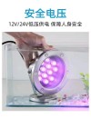 Fountain LED underwater lamp waterproof landscape garden lamp